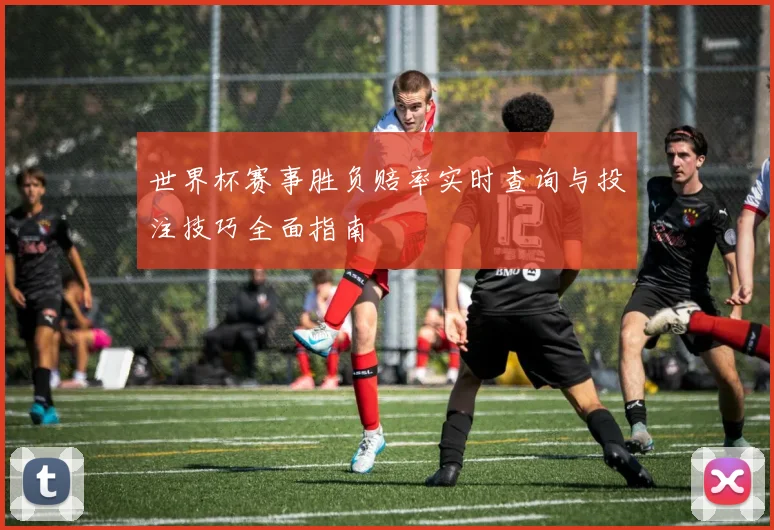 世界杯赛事胜负赔率实时查询与投注技巧全面指南